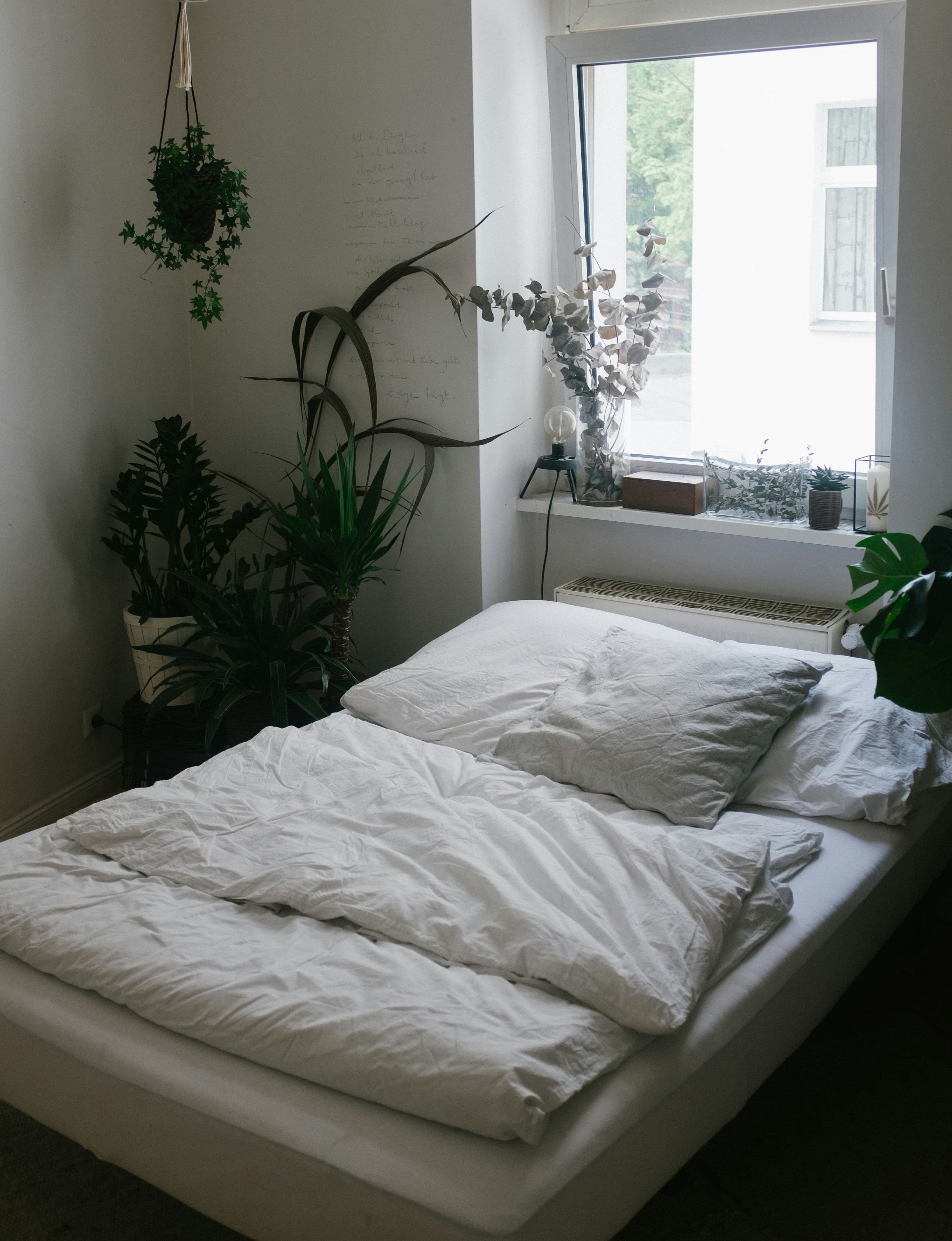 Schattiges Schlafzimmer mit weiß bezogenem Bett, umgeben von mehreren grünen Zimmerpflanzen – ruhige Raumgestaltung mit Pflanzen für wenig Licht.