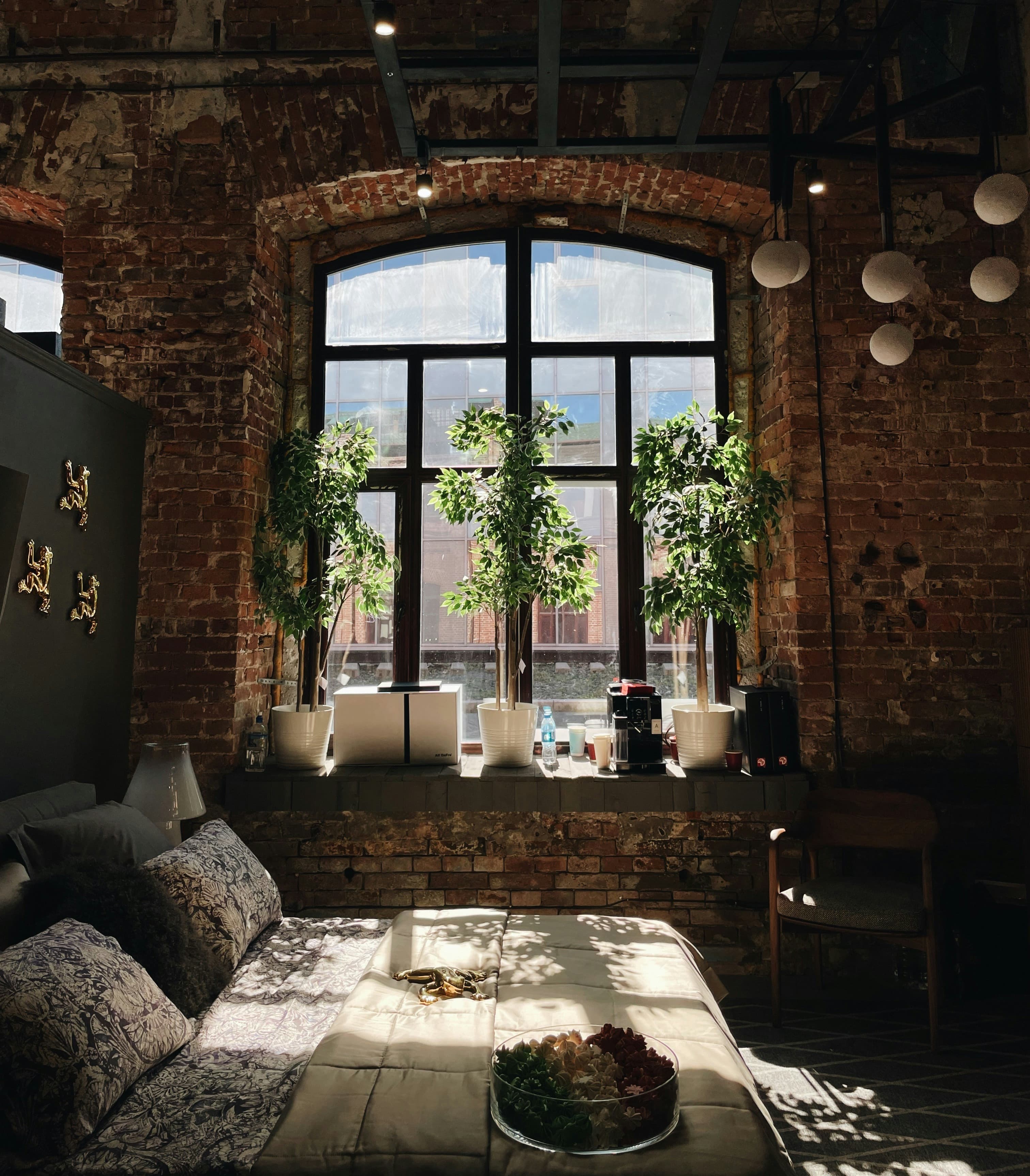 Schattiger Wohnraum im Berliner Altbau mit Backsteinwänden und großen Fenstern, mehrere grüne Zimmerpflanzen stehen vor wenig Licht spendendem Tageslicht – Pflanzen für drinnen bei wenig Sonne.