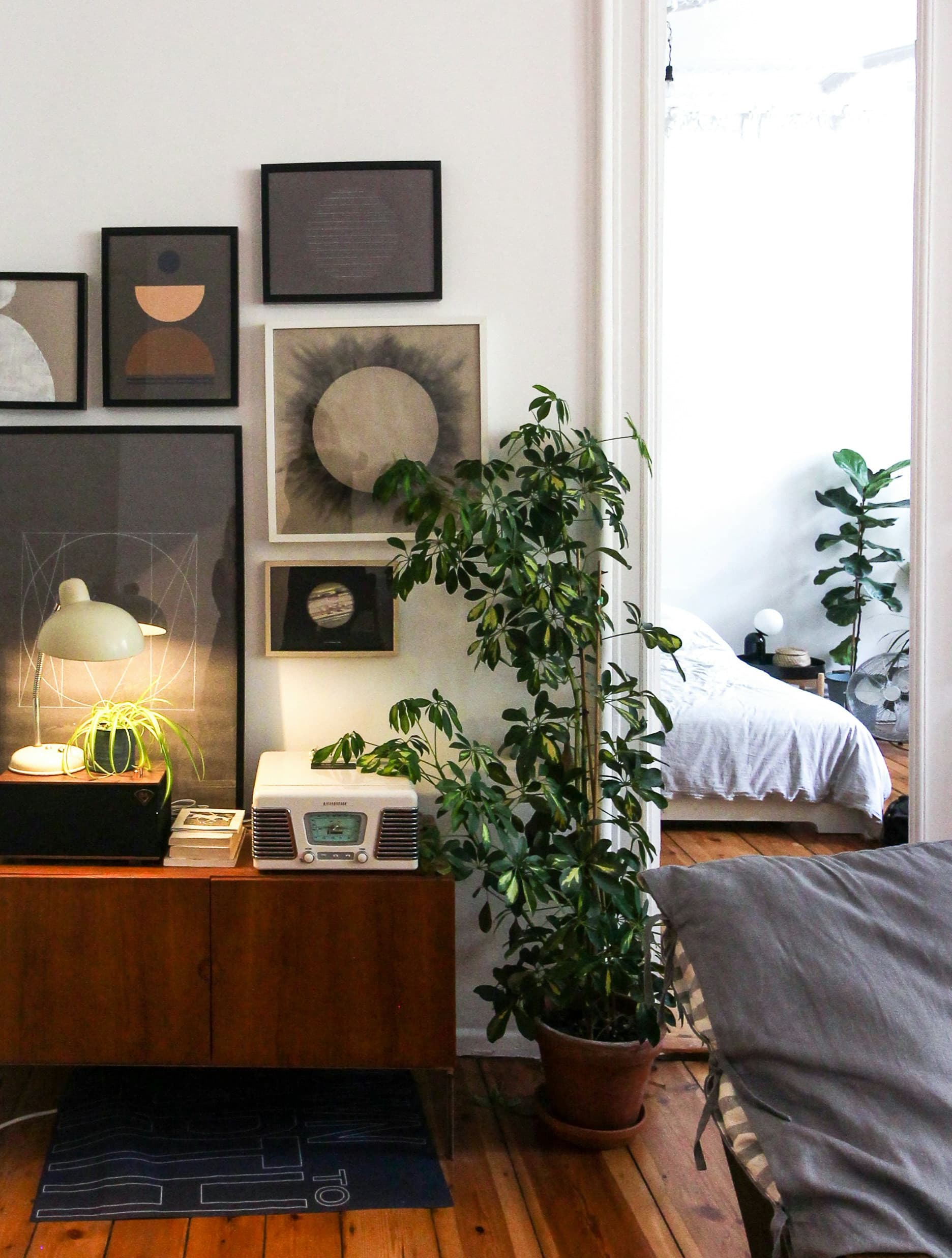 Helle Altbauwohnung mit Stuckdecke, Holzboden und dekorativen Zimmerpflanzen neben Sideboard und Schlafzimmerdurchgang, stilvoll eingerichteter Wohnraum mit viel Tageslicht