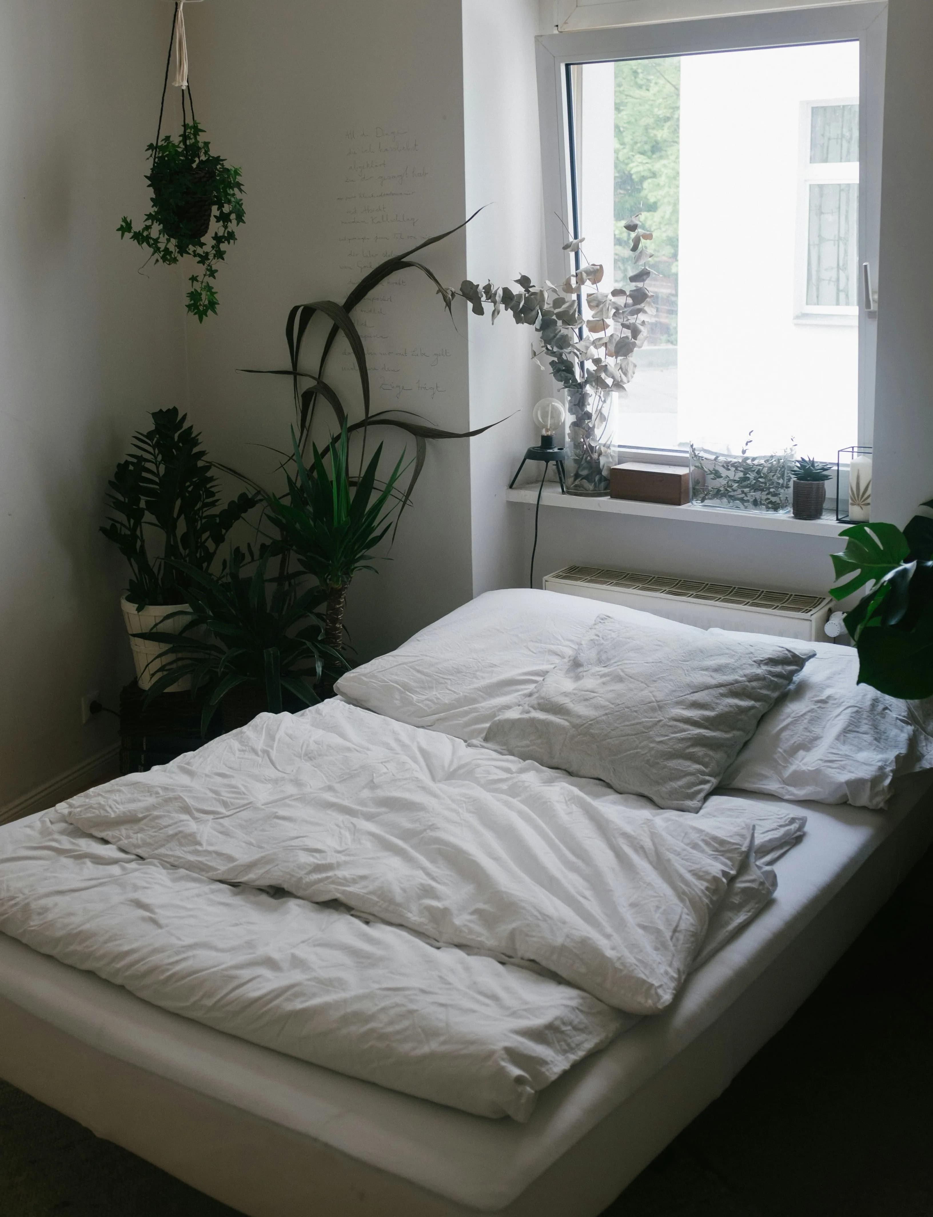 Schattiges Schlafzimmer mit weiß bezogenem Bett, umgeben von mehreren grünen Zimmerpflanzen – ruhige Raumgestaltung mit Pflanzen für wenig Licht.